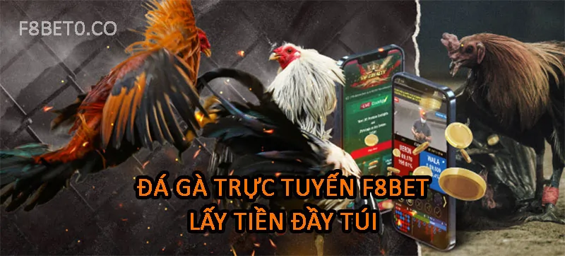 đá gà trực tuyến f8bet